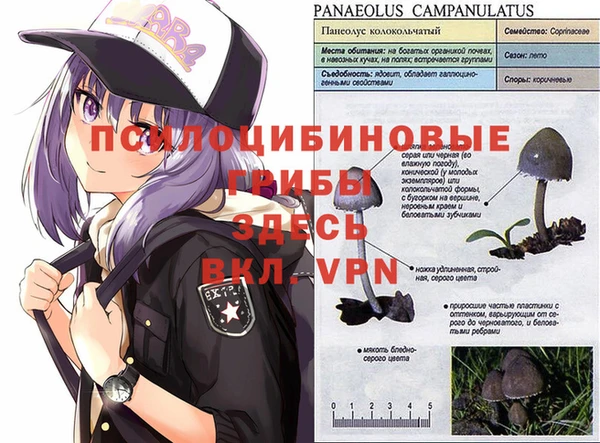 герыч Пестово