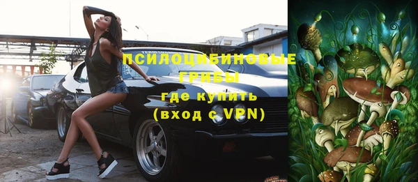 герыч Пестово