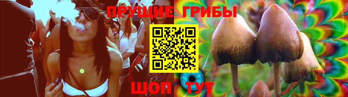 Псилоцибиновые грибы Cubensis  Галлюциногенные грибы GOLDEN TEACHER  Балабаново 